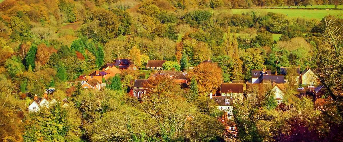 A rural landscape with rolling hills, scattered houses, and a mix of deciduous trees.