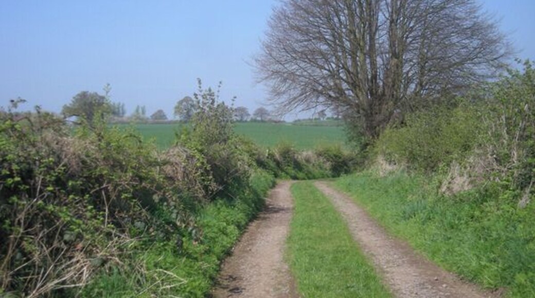 Farm track near Welshampton