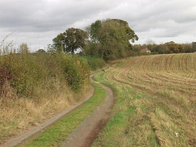 Bridleway near Welshampton Bridle path along a farm track with a maize stubble to the right.