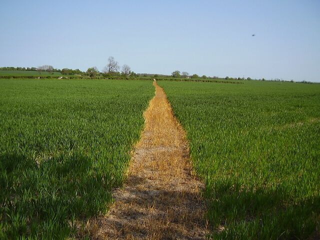 Footpath to Little Orton Cross compliance has made a remarkable improvement to footpath reinstatement. This path in Warwickshire had no sign or stile to give a clue but the path across the field is loud and clear.