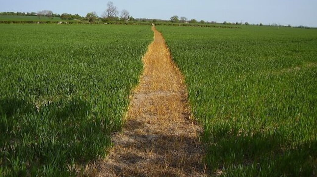 Footpath to Little Orton Cross compliance has made a remarkable improvement to footpath reinstatement. This path in Warwickshire had no sign or stile to give a clue but the path across the field is loud and clear.