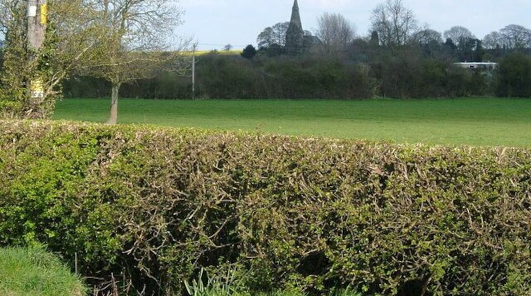 A field at Austrey, Warwickshire, with St Nicholas' parish church beyond