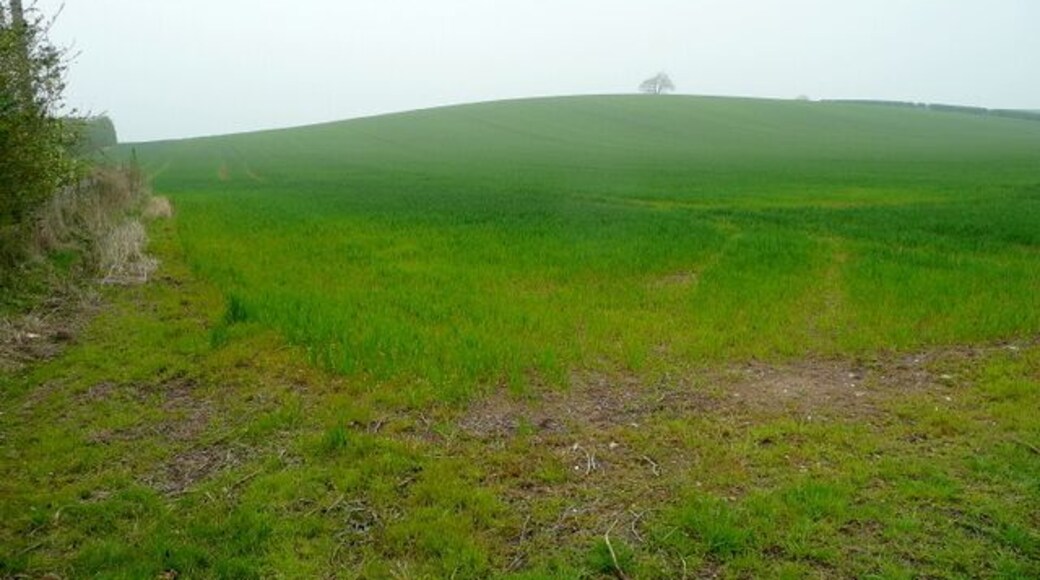Misty hill Looking north towards Appleby Hill, near Austrey.