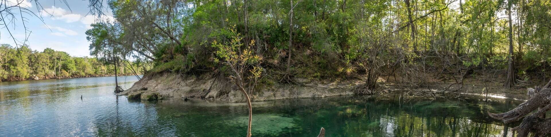Fletcher Springs on the Suwannee River, north of Belle Florida