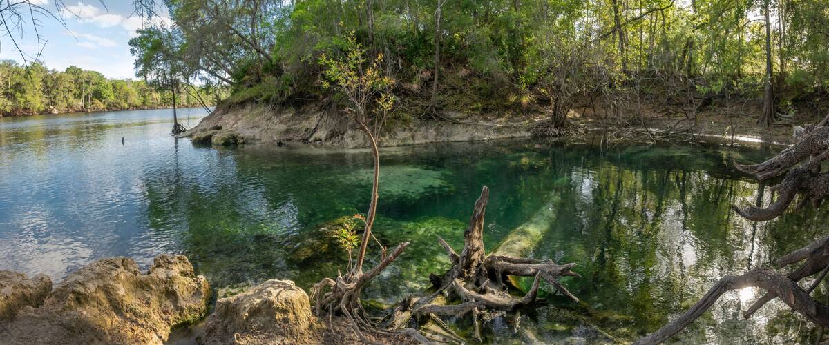 A calm river with clear water, surrounded by dense trees and rocky banks.