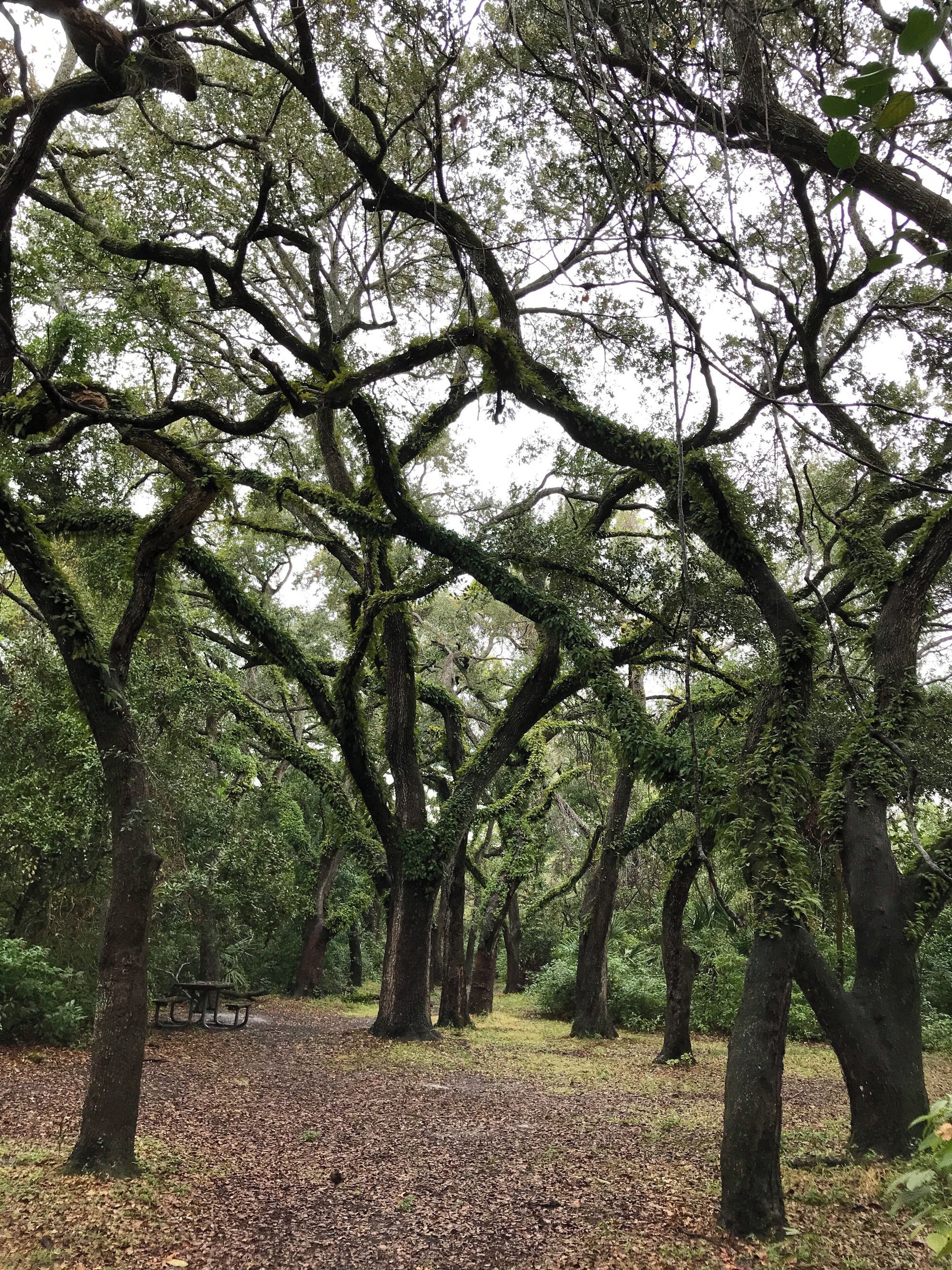 Greynolds Park - North Miami Beach, Florida
