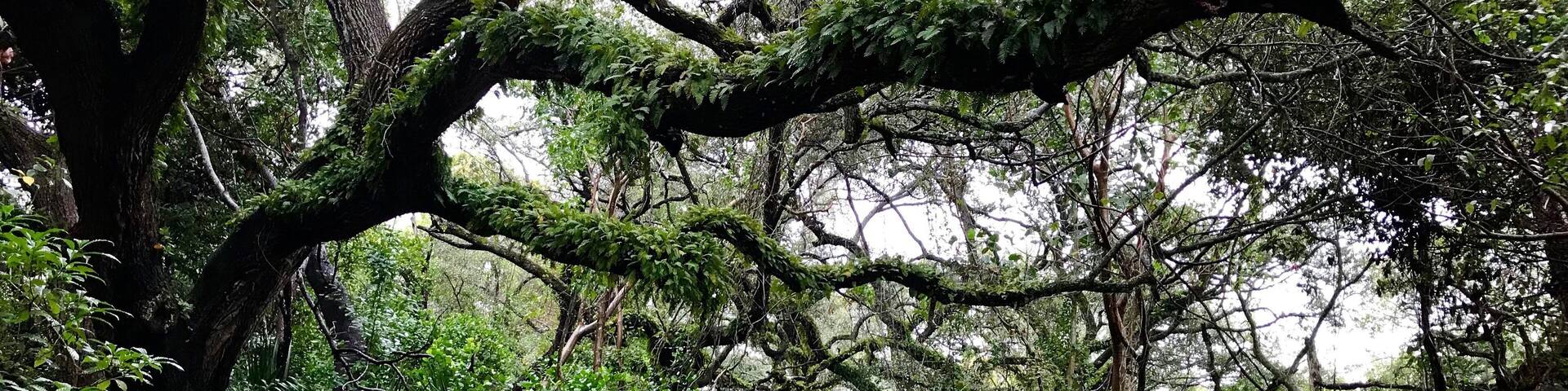 Greynolds Park - North Miami Beach, Florida