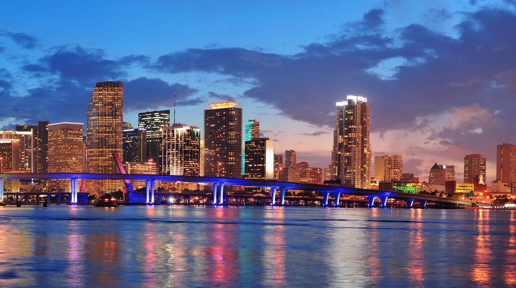 Miami night scene