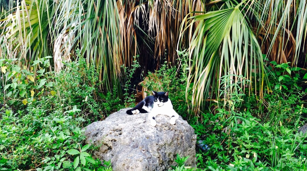 Really big and awesome park!