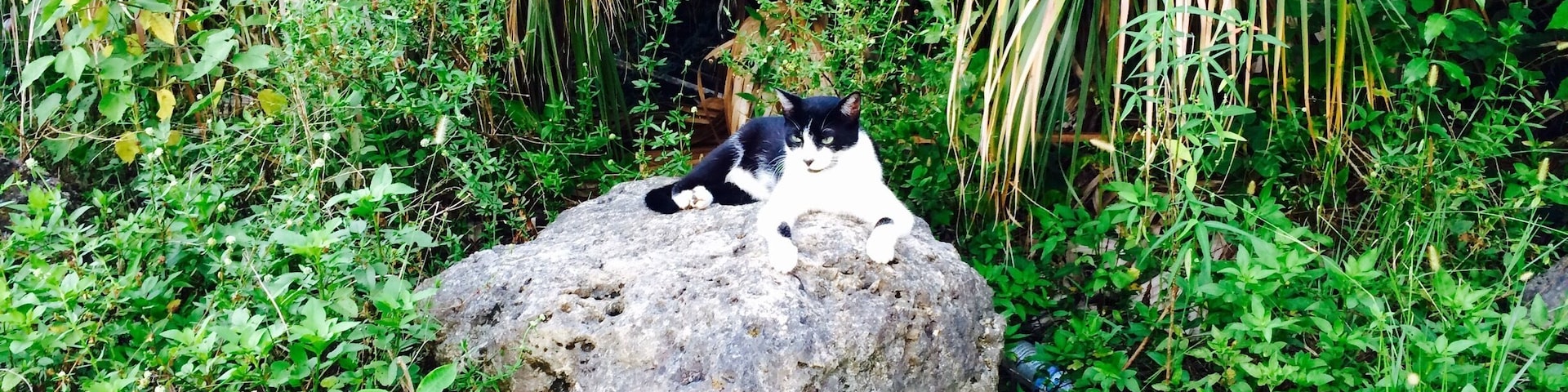 Really big and awesome park!