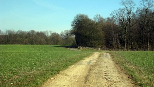 Track to Hurst Wood From Long Mill Lane.