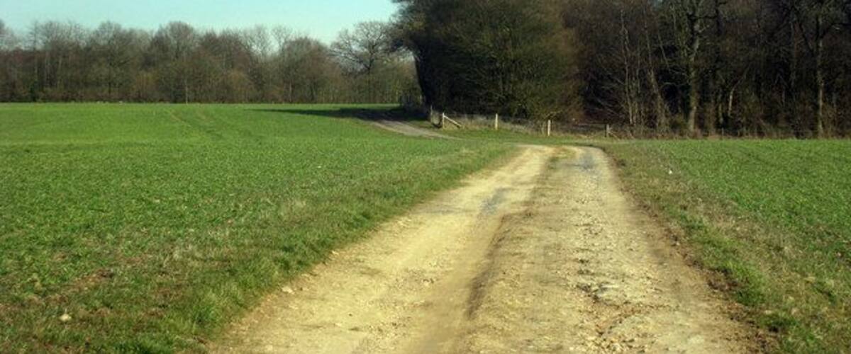 A dirt road in a rural area with green fields and trees in the background.