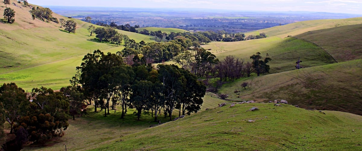 Green hills of the Barossa Valley south australia