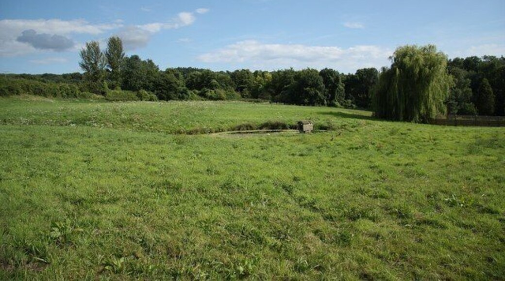 Duck Pond Field pond with duck house opposite Old Soar Manor, with Quarry Wood beyond