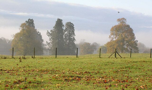 Fairlawne Estate, Plaxtol, Kent Early Autumn morning