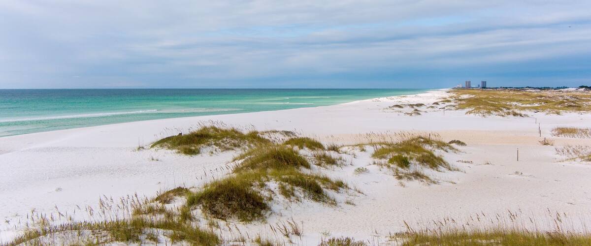 A beach with white sand and green dunes.