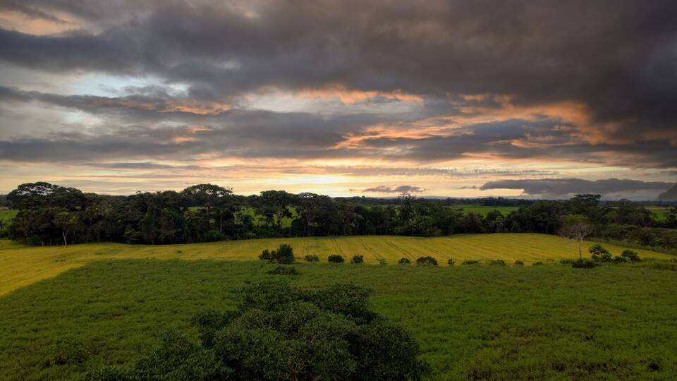 A lush green field with a dense forest in the background and a dramatic sky with clouds.