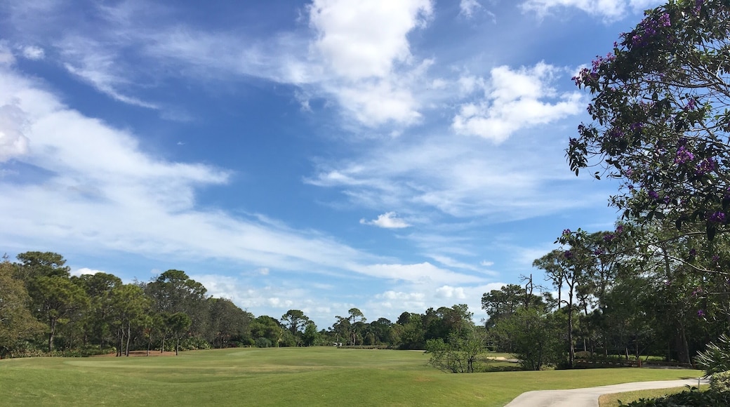 Golf course on the Treasure Coast