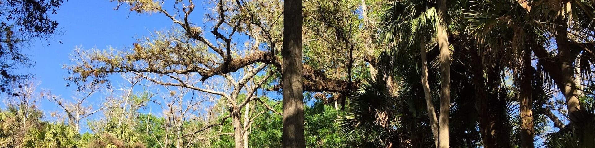 Spent the weekend camping here. Peaceful and scenic.