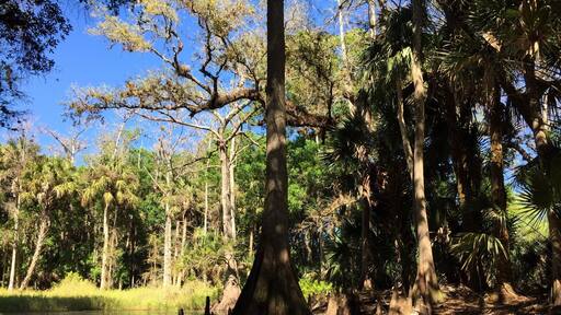 Spent the weekend camping here. Peaceful and scenic.