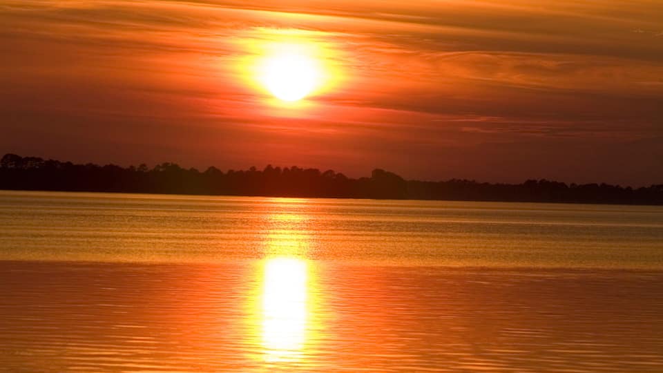 A sunset over a calm body of water with a silhouette of a bird flying.
