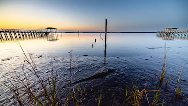 muddy shoreline at low tide