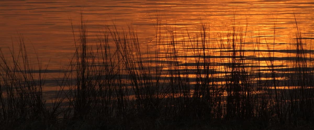 Sunset over a lake at Panacea, northern Florida, USA | NONE |