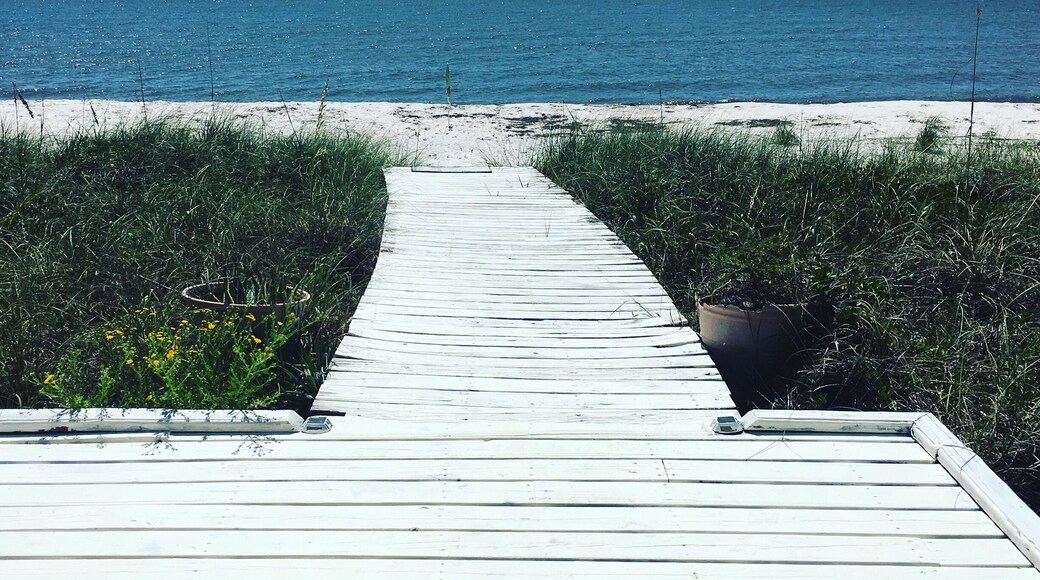 Easy walk to the beach here in Alligator Point. A hidden gem, things are extremely quiet, pet friendly, and an amazing place to get away from the hustle of more well-known beaches.