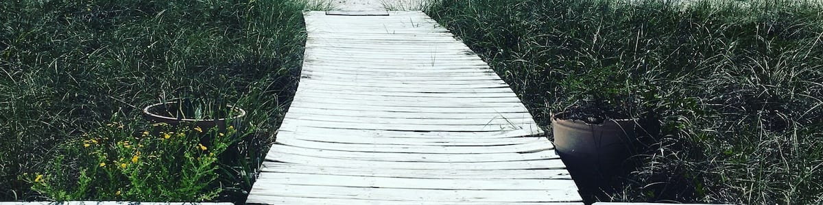 Easy walk to the beach here in Alligator Point. A hidden gem, things are extremely quiet, pet friendly, and an amazing place to get away from the hustle of more well-known beaches.