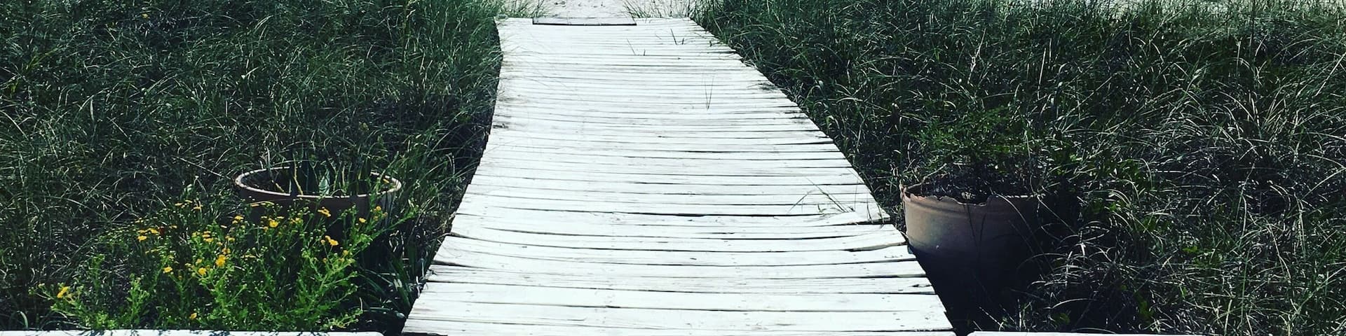 Easy walk to the beach here in Alligator Point. A hidden gem, things are extremely quiet, pet friendly, and an amazing place to get away from the hustle of more well-known beaches.