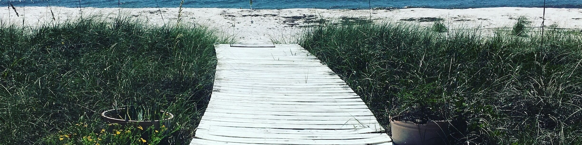 Easy walk to the beach here in Alligator Point.  A hidden gem, things are extremely quiet, pet friendly, and an amazing place to get away from the hustle of more well-known beaches.