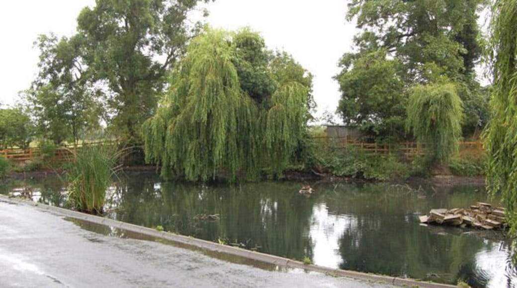 The village pond, Willoughby (1)