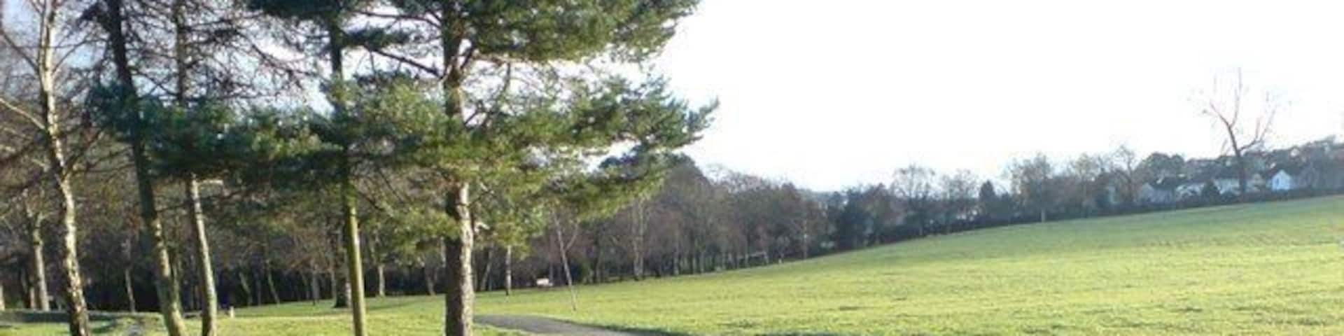 Morriston Park A small space of green in the centre of Morriston.