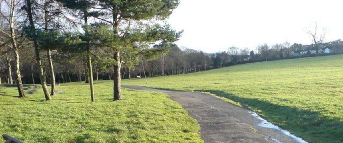 A park with a bench, a paved path, and a grassy field.
