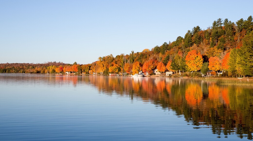 Fall Colors Reflected in a Calm Lake