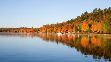 A calm lake with autumn-colored trees reflecting on the water.