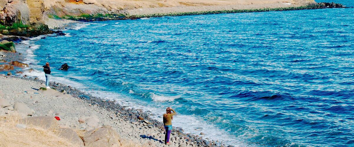 Without a car it's a bit tricky to get to Hrisey, but totally worth the effort!