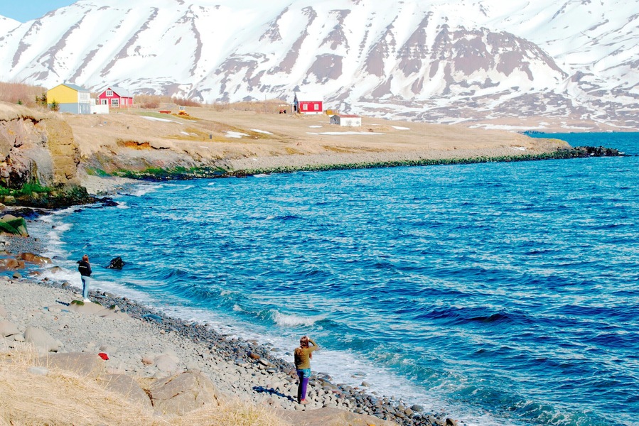 Without a car it's a bit tricky to get to Hrisey, but totally worth the effort!