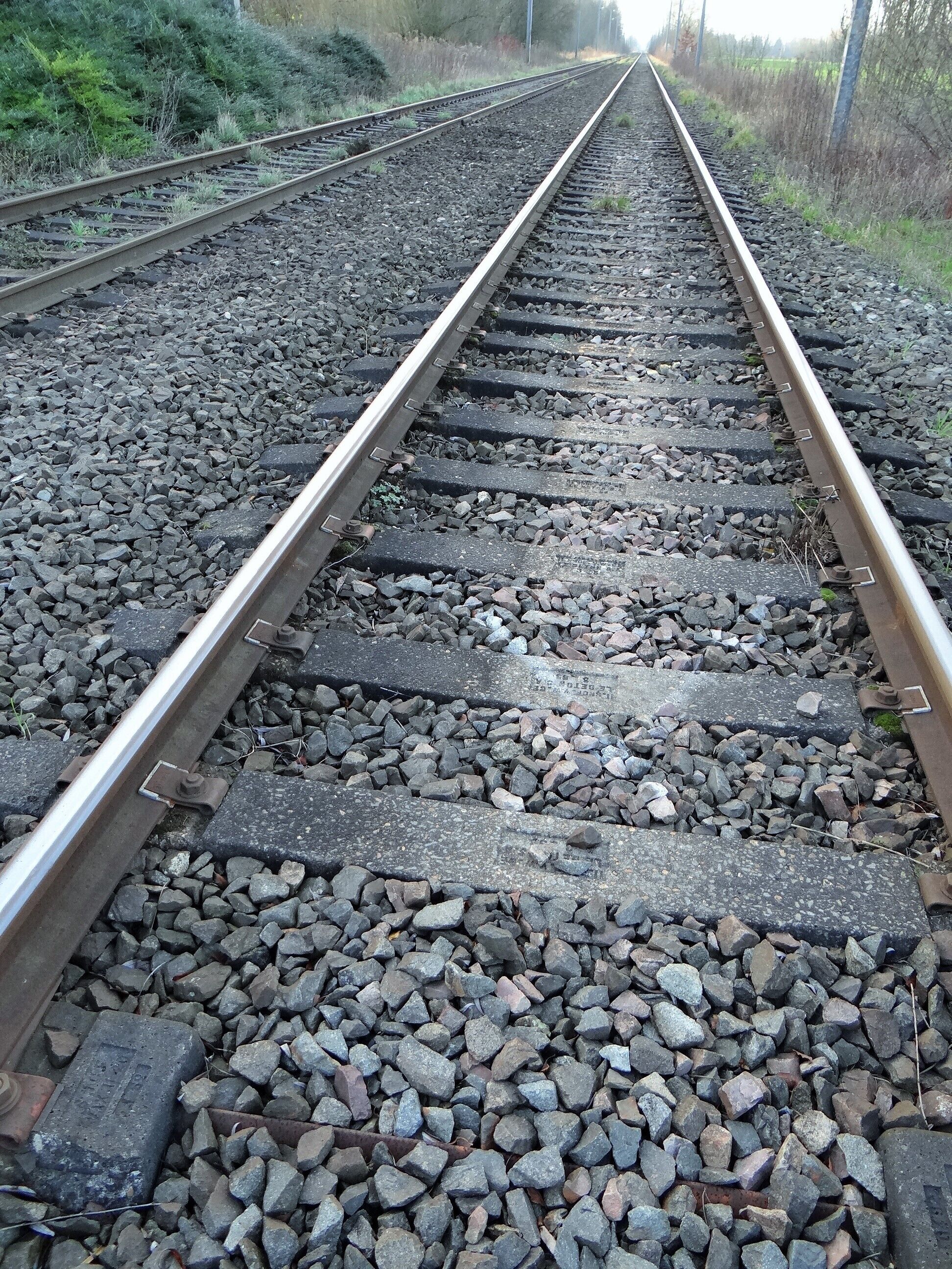 Railway tracks with gravel and vegetation on the sides.