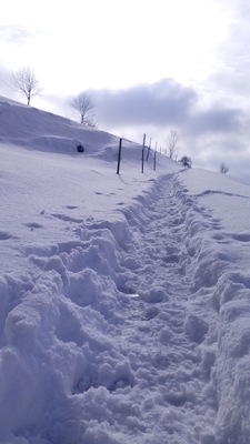 Winterwonderland in Sirnach in the canton of Thurgau in Switzerland.
#snow