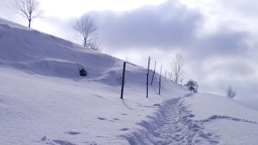 Winterwonderland in Sirnach in the canton of Thurgau in Switzerland.
#snow