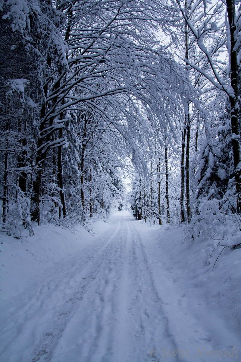 Sirnach in Switzerland

Today the little town of Sirnach in the north-eastern part of Switzerland looked like a winterwonmderland.

Beautiful walking under the snow covered trees.

#Snow