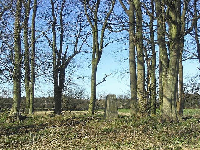 The trig point in Pasturehill Plantation Near the hamlet of Rock.