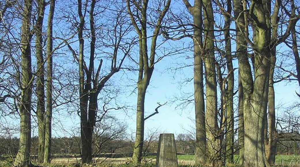 The trig point in Pasturehill Plantation Near the hamlet of Rock.