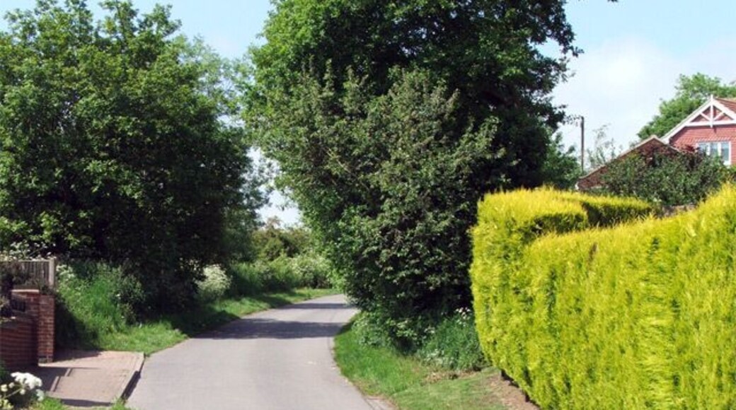 View of New Lane A view west, up New Lane in Blidworth.