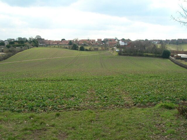 Farmland, Blidworth
