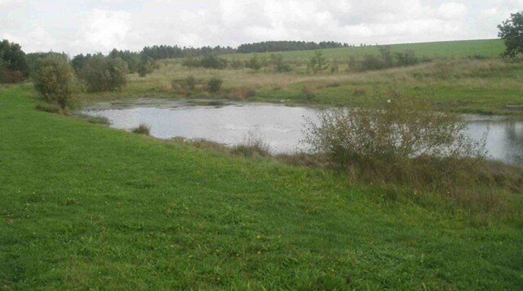 Tippings Wood pond Nature reserve on the site of Blidworth colliery