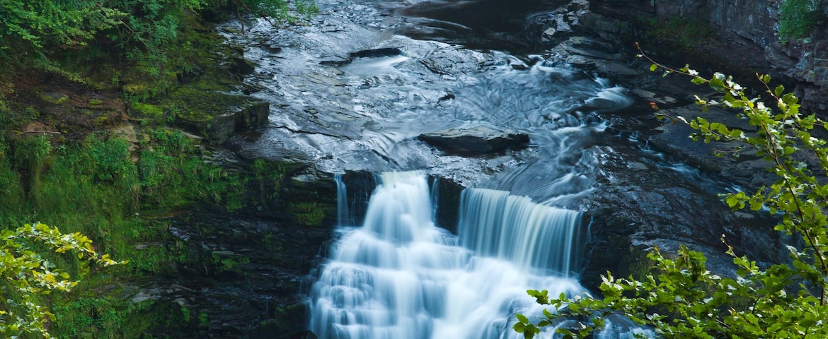 Une cascade d’eau se précipitant le long d’une falaise rocheuse, entourée d’une végétation luxuriante.