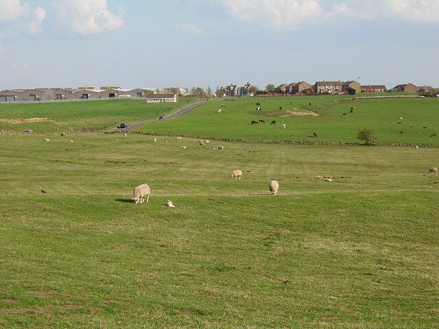 Forth. Fields at 270m asl just outside Forth, Lanarkshire.