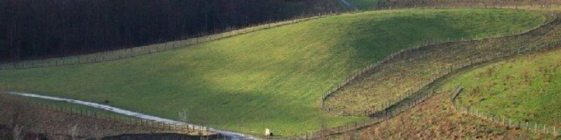 View from The Slide toward Liberty Monument with Goodshieldhaugh in foreground. A reclaimed slag heap which has greatly enhanced local amenity. Part of the Derwent Country Park which is run expertly by Gateshead Council - an example for any local authority.